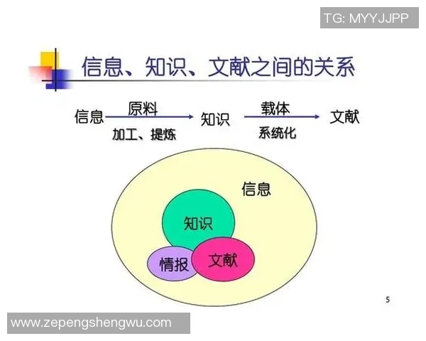 AC资本市场（ACCM）构建金融服务的全球化信赖网络：体育营销+本地深耕