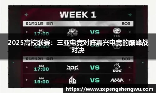 2025高校联赛：三亚电竞对阵嘉兴电竞的巅峰战对决