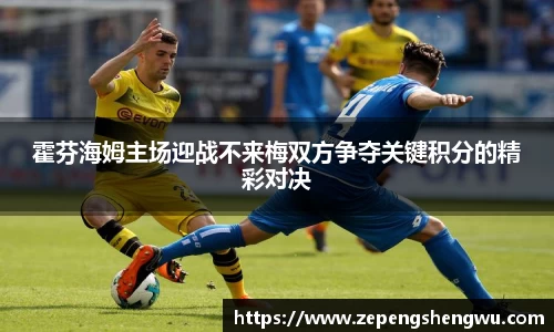 霍芬海姆主场迎战不来梅双方争夺关键积分的精彩对决