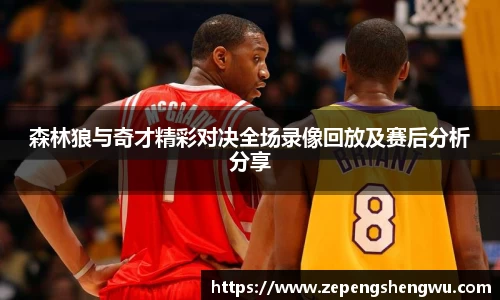 森林狼与奇才精彩对决全场录像回放及赛后分析分享